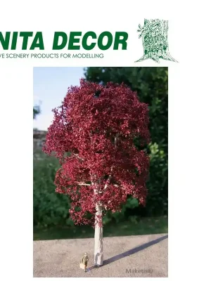 Auf Lager | Hêtre rouge de 15 à 45 cm Anita Decor