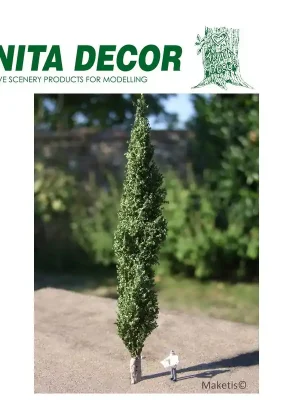 Nur noch heute | Set 3 Peupliers de 15 à 25 cm Anita Decor