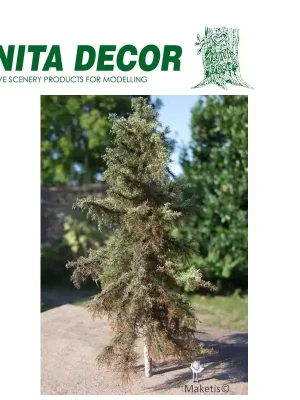 Sapin Douglas de 25 à 45 cm Anita Decor - Zertifiziert