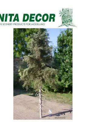 Sapin Douglas haute tige de 25 à 45 cm Anita Decor | Preiswert