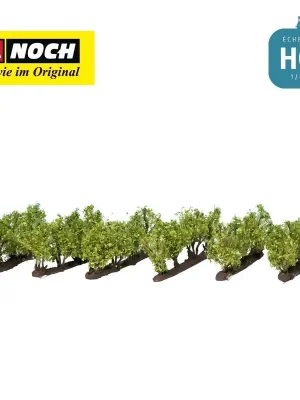Vignes (24 pcs) HO Noch 21540 - Top-Qualität