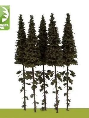 Bewährte Qualität | Epicéas avec tronc 230-270 mm 5 pcs Model Scene SK250