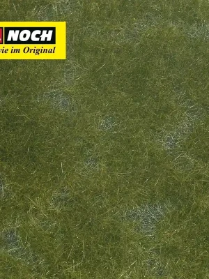 Zeitlich begrenzt - Foliage de couverture végétale vert foncé 12x18cm Noch 07252