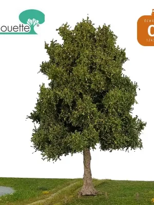 Kundenliebling - Frêne hauteur 30-34cm vert été Silhouette 341-002-2