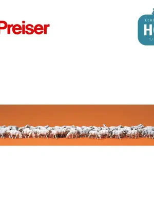 Bewährte Qualität | Troupeau de moutons 60 pièces HO Preiser 14411