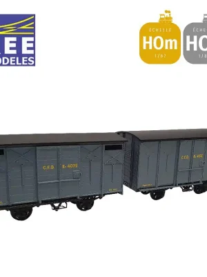 Coffret 2 wagons couverts non freiné et freiné, toit rond et en pentes gris foncé HOm/HOe REE VM-028 | Neu verfügbar