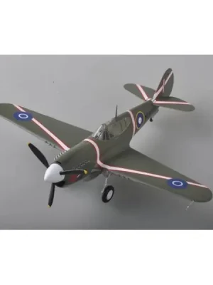 Werkspreis - P-40M - 1 48e - Easy Model - Easy Model