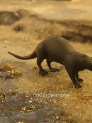 Klingenhöfer Miniaturen 0-TO1 - Otter Länge 2,2 cm (1 45) - Top-Angebot