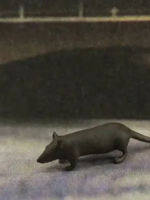 Kundenliebling | Klingenhöfer Miniaturen 0-TR00 - 3 Wanderratten ca. L 1 cm (1 45)