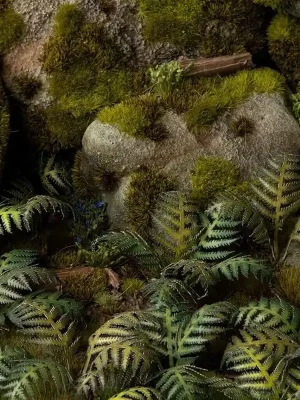 Nur solange der Vorrat reicht - Bracken / Adlerfarn