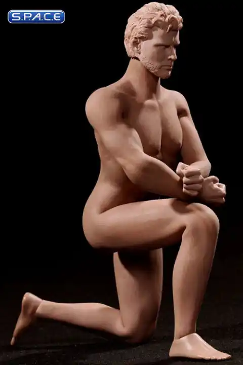 1/6 Scale Seamless Male Body M31 - Super-Preis