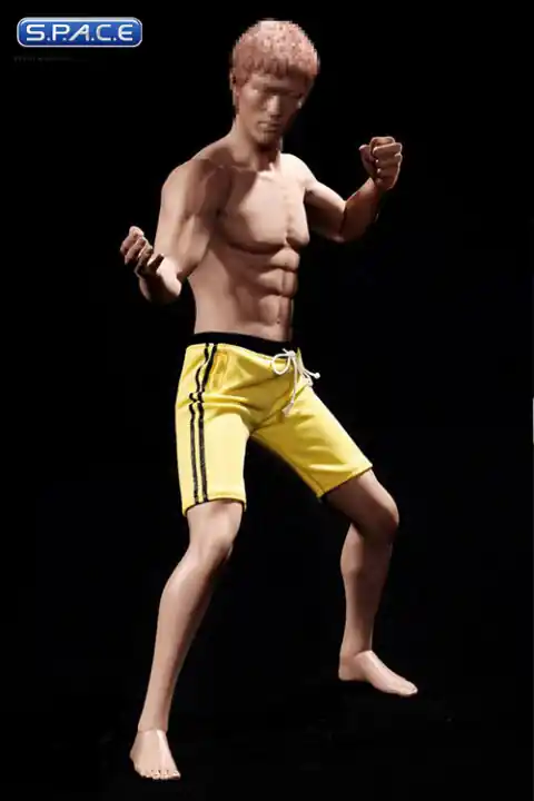 1/6 Scale Seamless Asian Male Body - Jetzt erhältlich