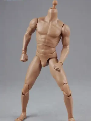 1/6 Scale Muscular Male Body 2.0 | Hohe Qualität