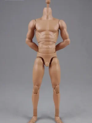 1/6 Scale Muscular Male high Body 2.0 | Preishit