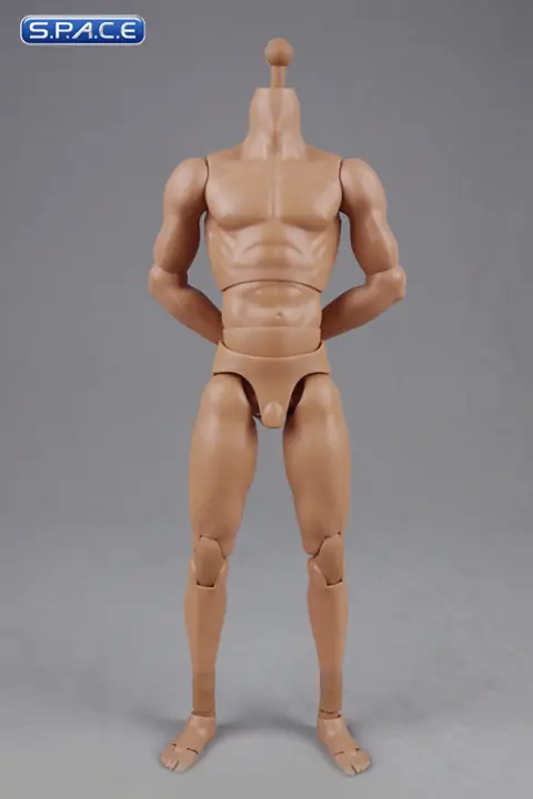 1/6 Scale Muscular Male high Body 2.0 | Preishit