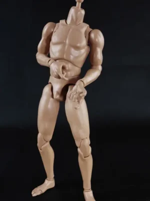 1/6 Scale Standard Muscle Arm Body - Heute bestellen