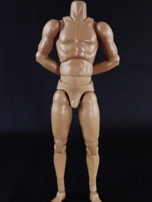 1/6 Scale Standard Muscle Arm High Body - Jetzt sichern