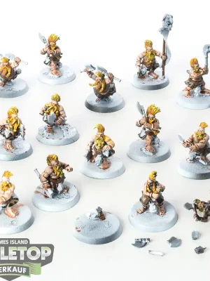 Cities of Sigmar - 14x Dwarf Deathseekers, Highlands Miniatures, Sons of Ymir - teilweise bemalt | Neuzugang