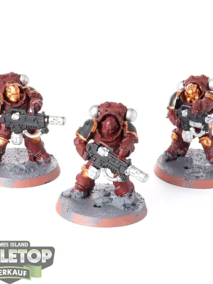 Zertifiziert | Blood Angels - 3 x Primaris Eradicators - bemalt
