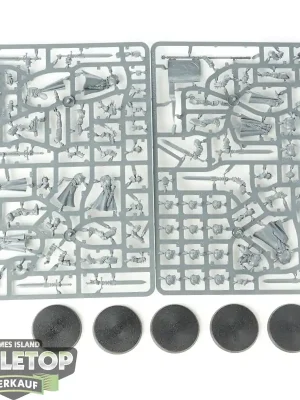 Zertifiziert | Stormcast Eternals - 5 x Vanquishers - im Gussrahmen