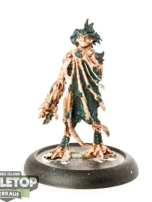 Wochenendangebot | Legion of Everblight - Forsaken - teilweise bemalt