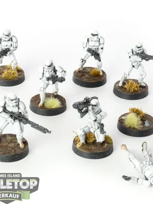 Qualitätsprodukt - Imperium - 7 Stormtroopers - bemalt