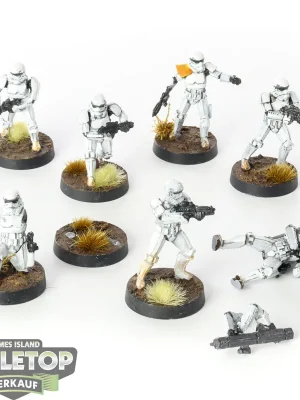 Bestellbar - Imperium - 7 Stormtroopers - bemalt