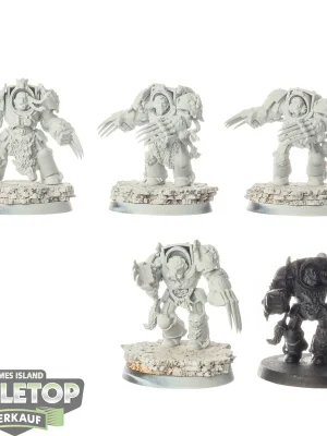Zertifiziert | Space Wolves - 5x Wolf Guard Terminators - klassisch - grundiert