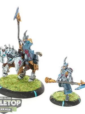 Bestseller | Retribution of Scyrah - Fane Knight Skeryth Issyen - bemalt